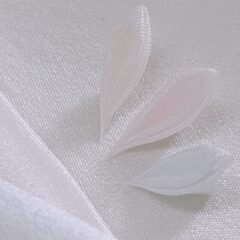 カンタンな染色、やってみました