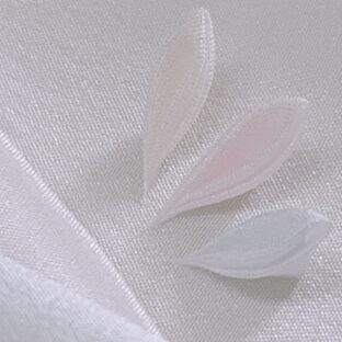 カンタンな染色、やってみました